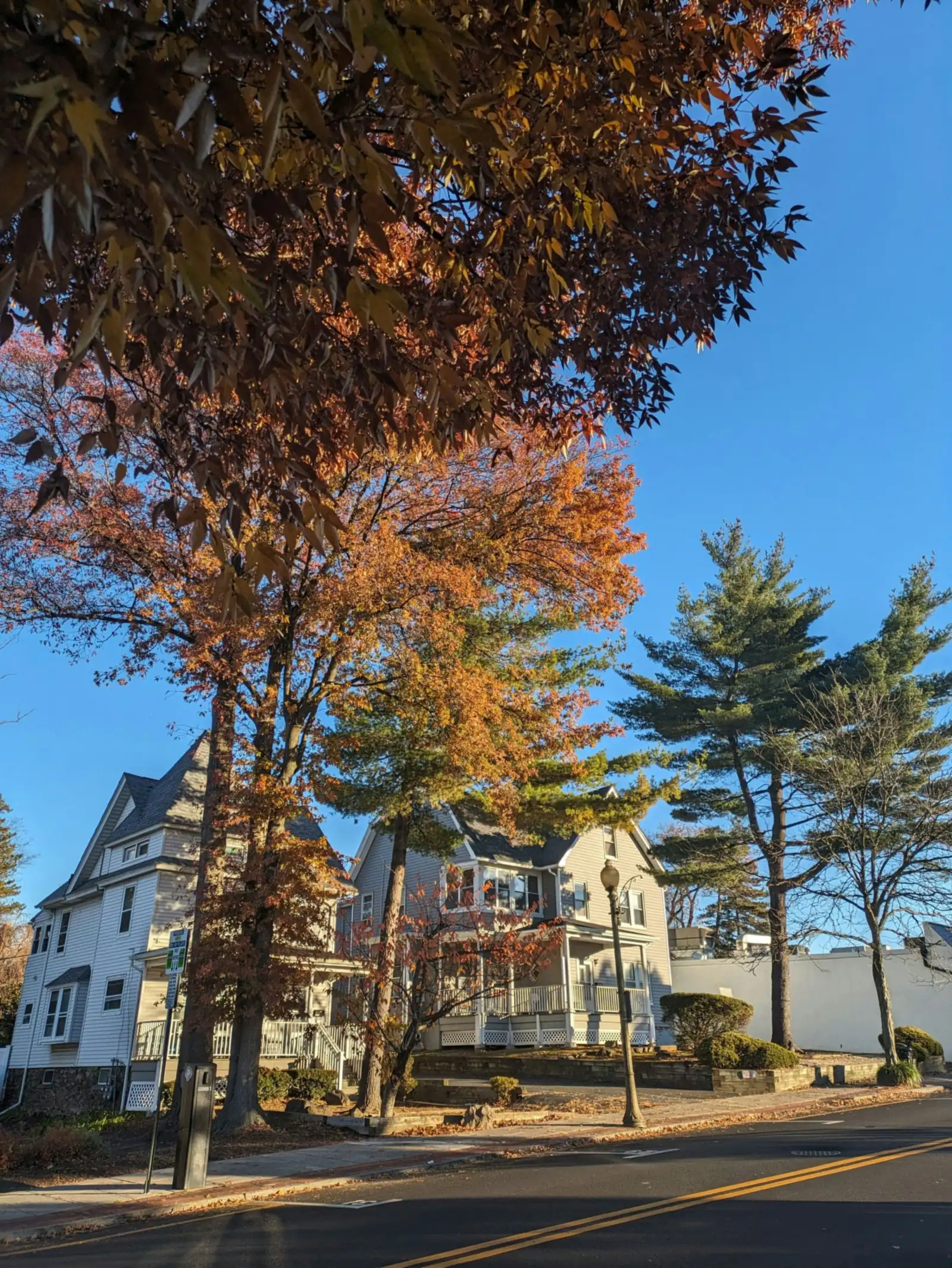 Ridgewood New Jersey street with autumn trees and older homes under blue sky